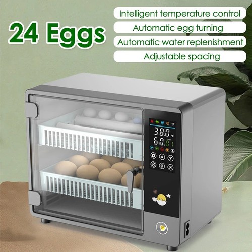 Egg incubator fully - egg,