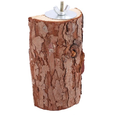 Pet parrot natural wooden - parrot, bird