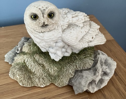 Sherratt simpson barn owl by - &,
