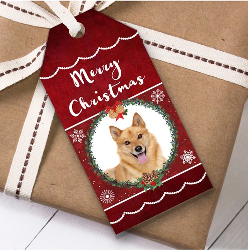 Finnish spitz dog christmas - finnish,