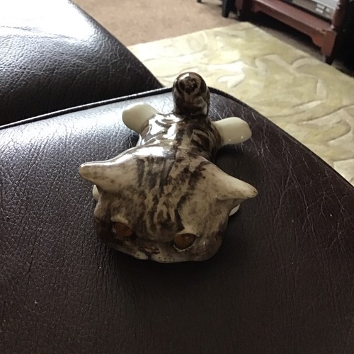 Winstanley tabby squashed - winstanley,