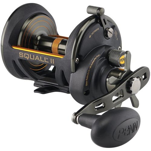 Penn squall multiplier - ii, 40