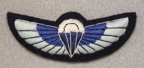 British army badge 2961 - army, sas