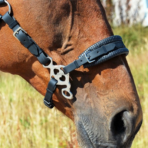 Love hackamore bitless - bitless, bridle