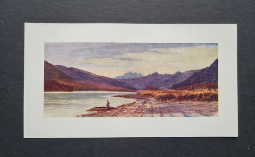 Antique 1907 print arrow - 1907,