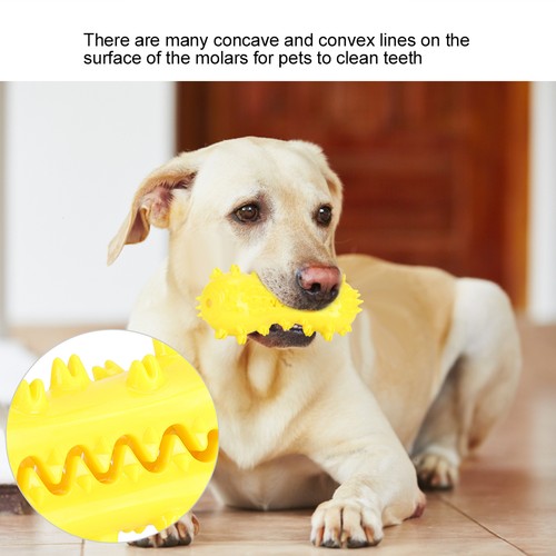 Dog squeaky toys - dog, rod