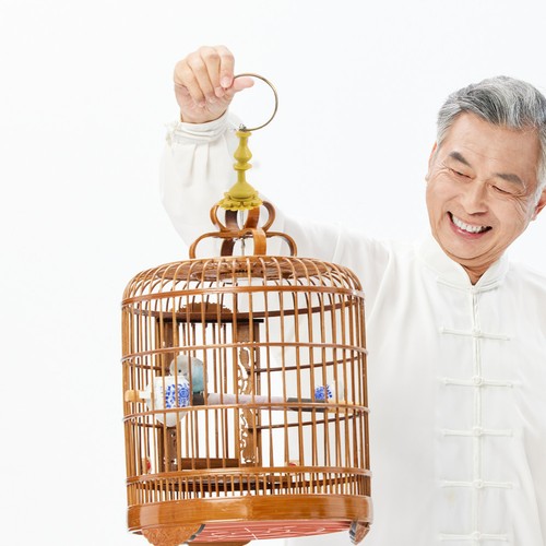 Bird cage hanging - cage, sturdy
