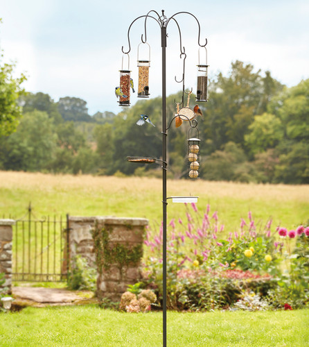 Bird feeding station with - feeding, 4