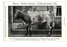 Durham west hartlepool - west,