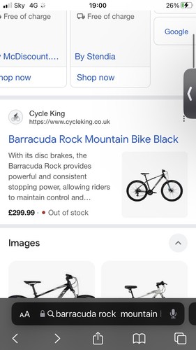 Mountain bike - mountain,