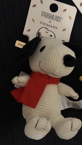 Peanuts primark bag - x, charm