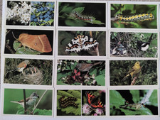 Player`s Grandee Britain`s