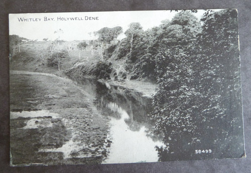 Whitley bay holywell - whitley, dene