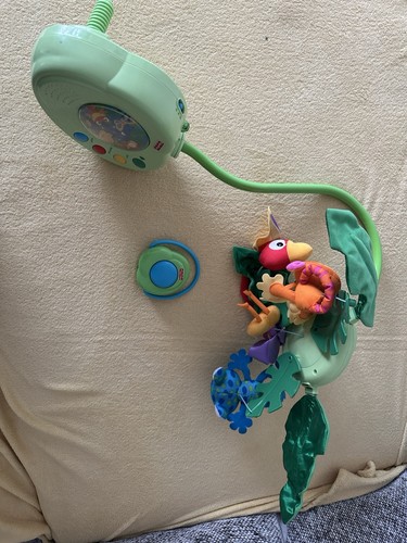 2006 fisher price rainforest - price,