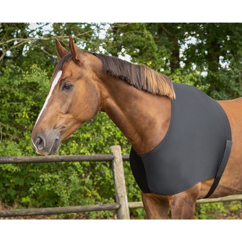 Comfortable horse shoulder - comfortable,