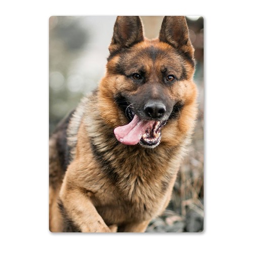 Metal wall sign dogs - dogs, german