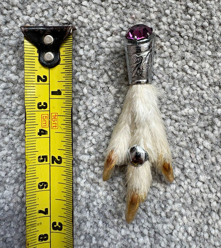 Taxidermy grouse foot - grouse, paw