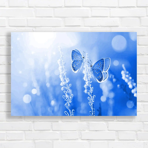 Delightful butterfly encounter - delightful,