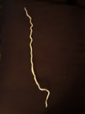 Ivy wand from Northwood Forest