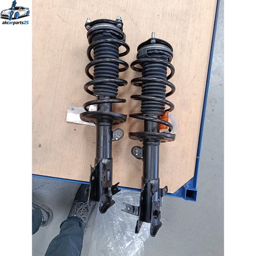Pair front complete shock - pair,
