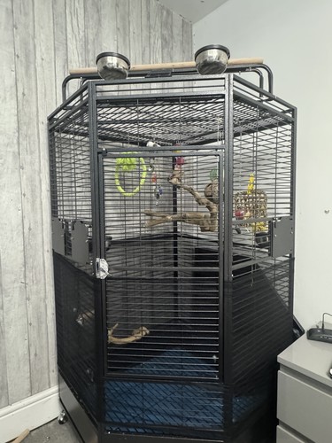 Parrot supplies oklahoma - parrot-supplies,