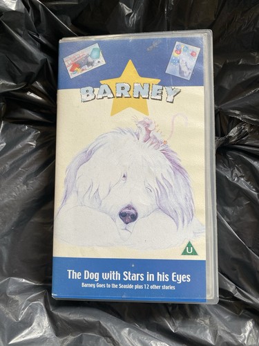 Barney the dog with stars - with, in
