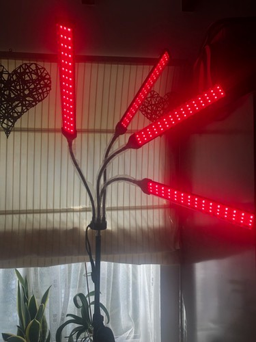 Infrared red light therapy - infrared,