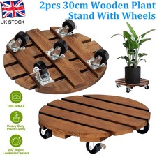 2 Pack 30CM-12 Inch Plant