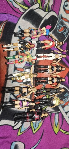 Wwe mattel female action - wwe,