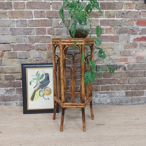 Retro mid century bamboo plant - retro, mid-century