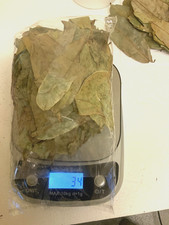 Dried Soursop/ Graviola