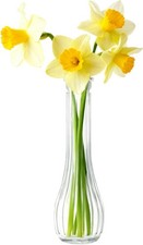 20cm Tall Glass Flower Vase