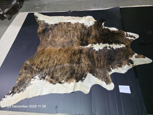 Brand new genuine large cow - genuine,