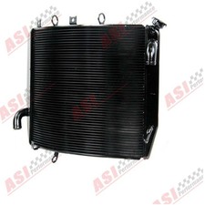 Radiator for kawasaki ninja - for,
