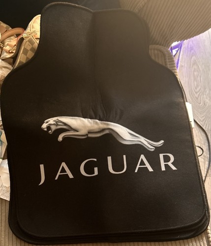 Jaguar mats - jaguar,