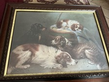 King Charles Spaniel Waiting For Master George Armfield 1808-93 Framed C 1990