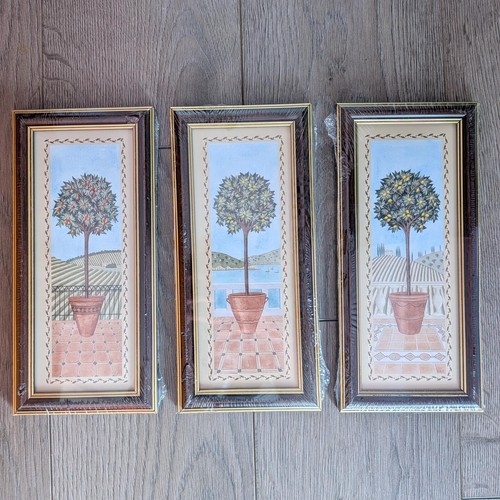 Vintage topiary tree - tree, prints