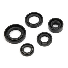 Oil Seal For Lifan Steel Alloy