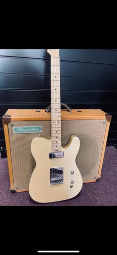 Gordon smith custom telecaster - smith,