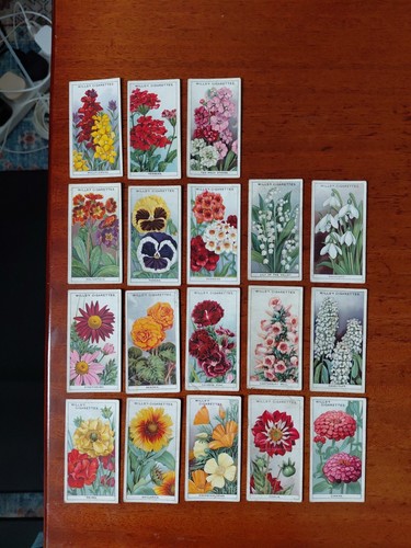 Will cigarette cards wild - cigarette,