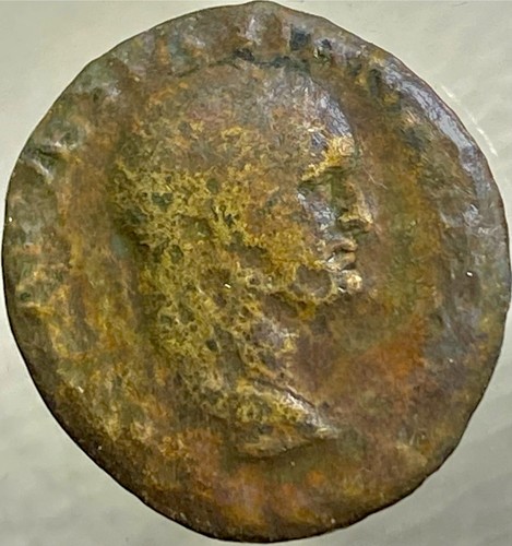 Roman emperor vespasian - roman,