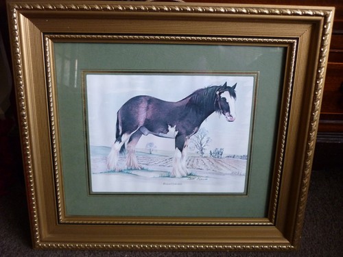 Clydesdale heavy horse framed - horse,