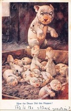 Bonzo How The Deuce Did This Happen G.E.Studdy Humour Postcard c192?