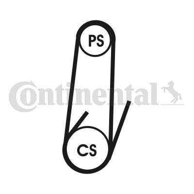 Ribbed belts for iveco - v-ribbed,