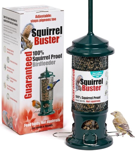 Squirrel proof bird feeder - proof,