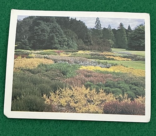 Vintage kelloggs gardens - gardens, to