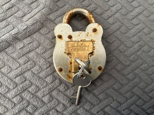 Vintage avocet lever - avocet,