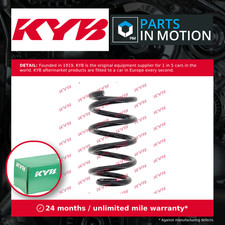 2x Coil Springs (Pair Set)
