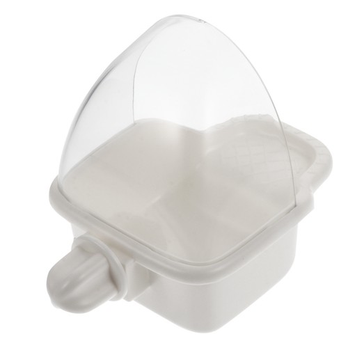 Parrot feeder bird outdoor - parrot,