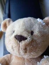 Cuddly Beanie Bear -Amy's Bear-by Daisy Chain Press watermark publishing ltd.